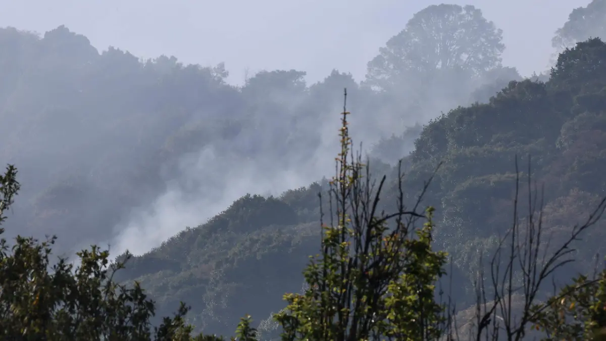 incendio-bosue-lerma