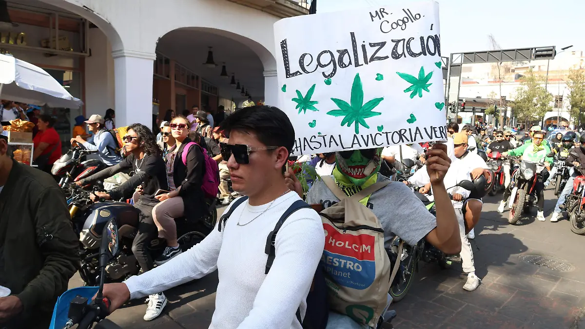 marcha cannabis