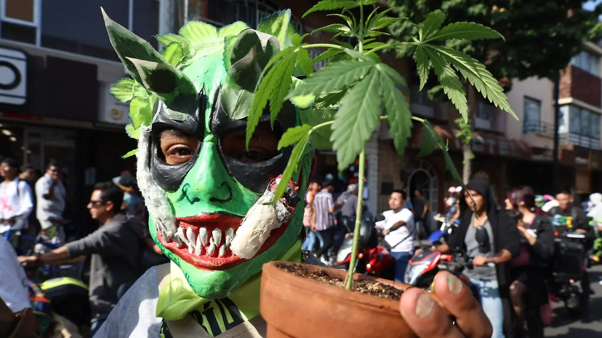 marcha cannabis