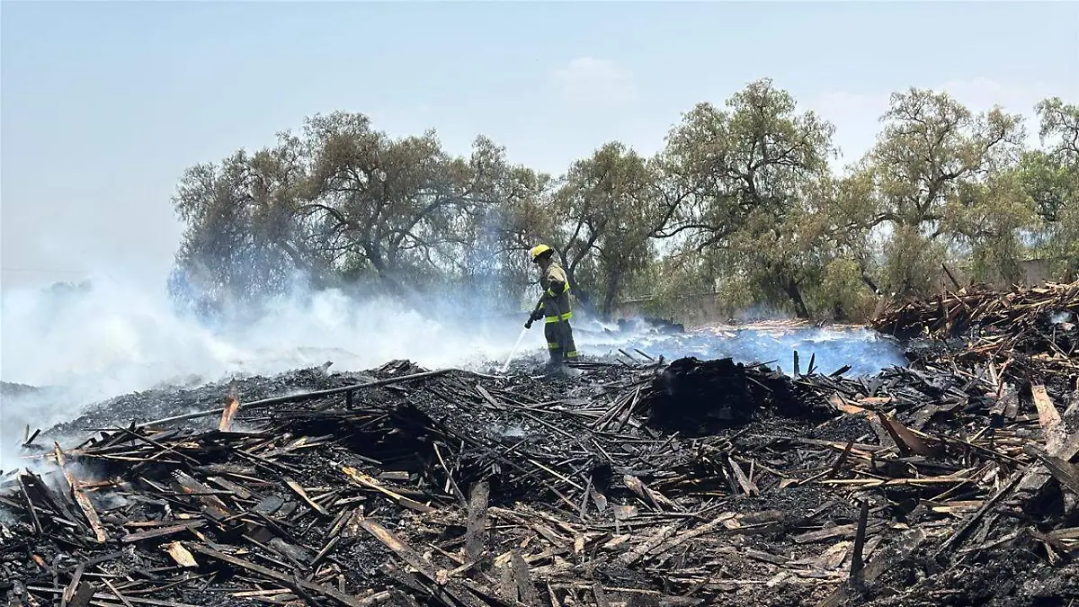 aserradero Tecámac 2