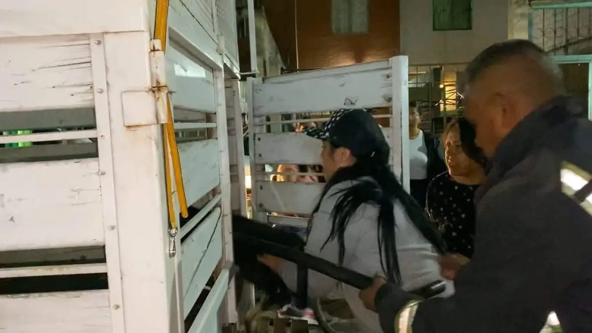 rescate perros Ixtapaluca