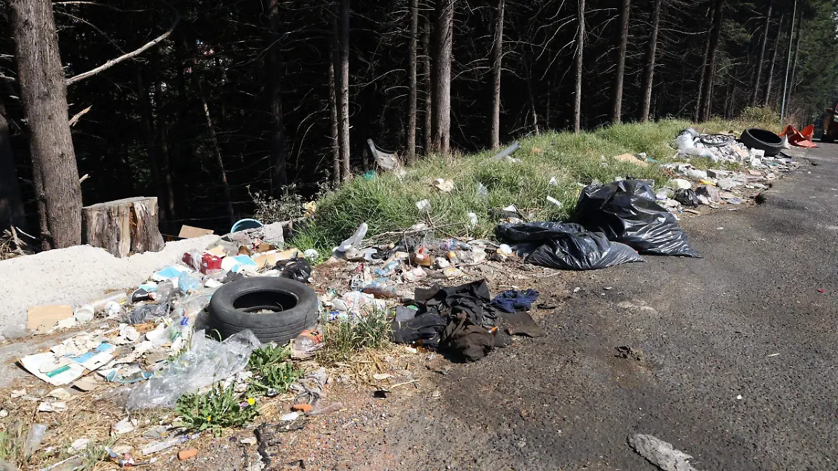 basurero-mexico-toluca