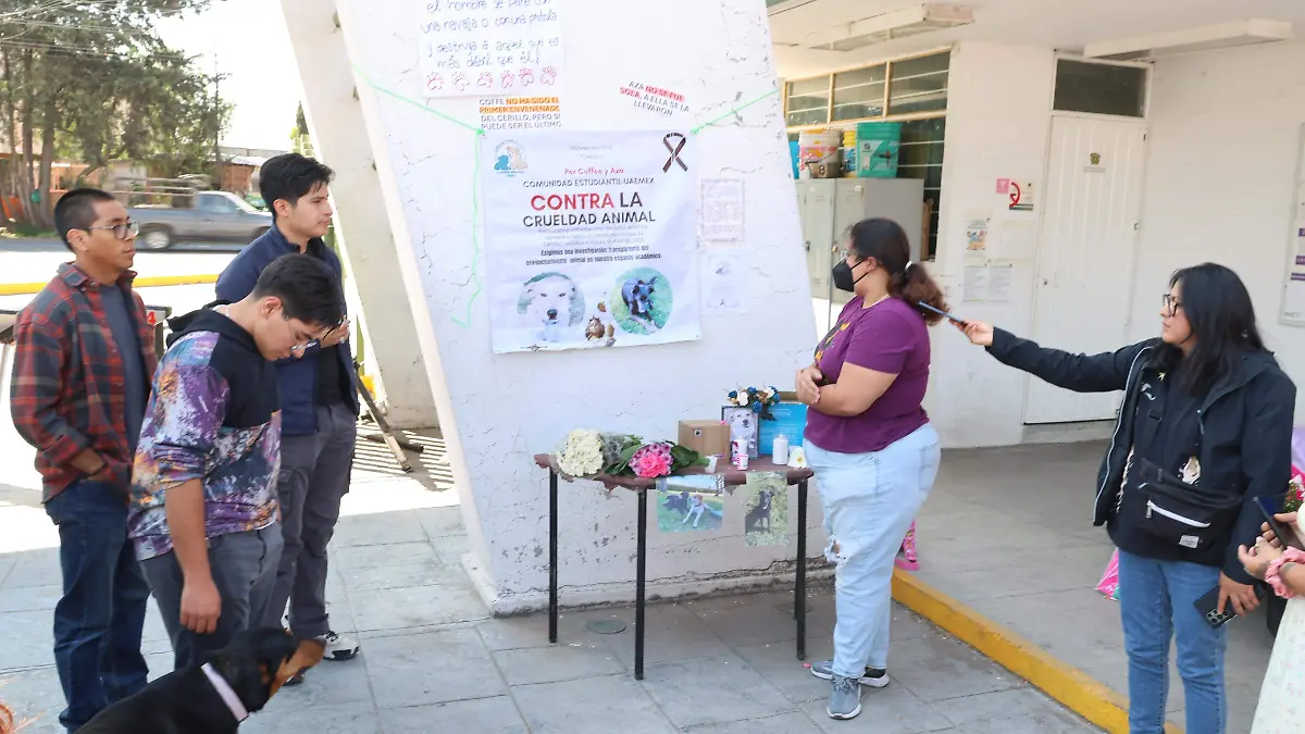 perros envenenados 2