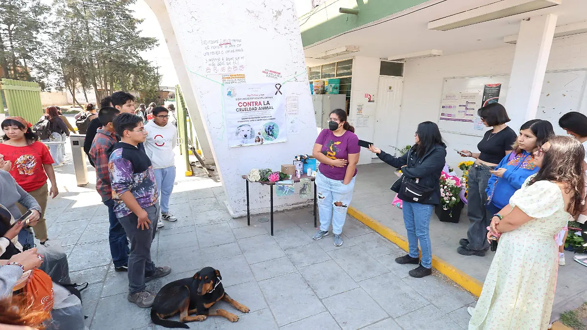 perros envenenados 3