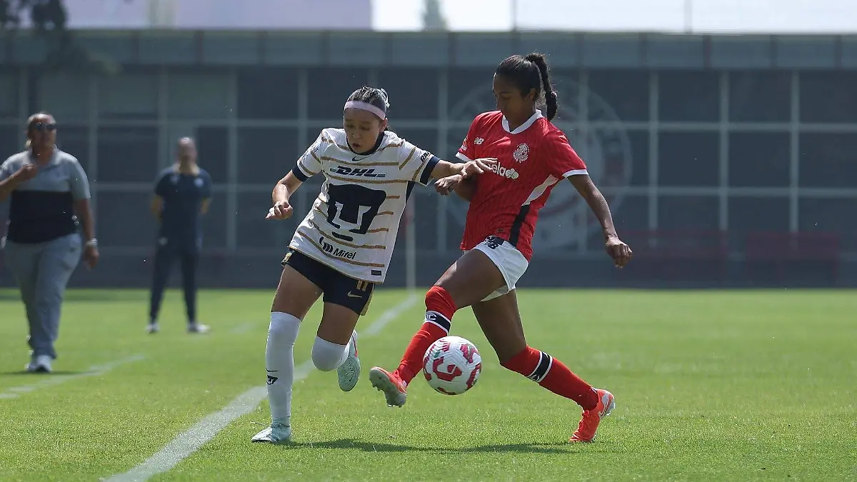 Toluca Femenil Sub 19