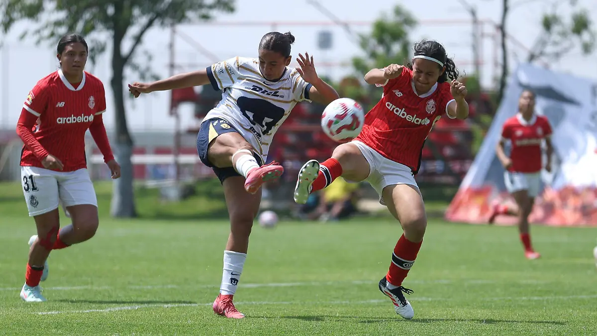 Toluca Femenil Sub 19
