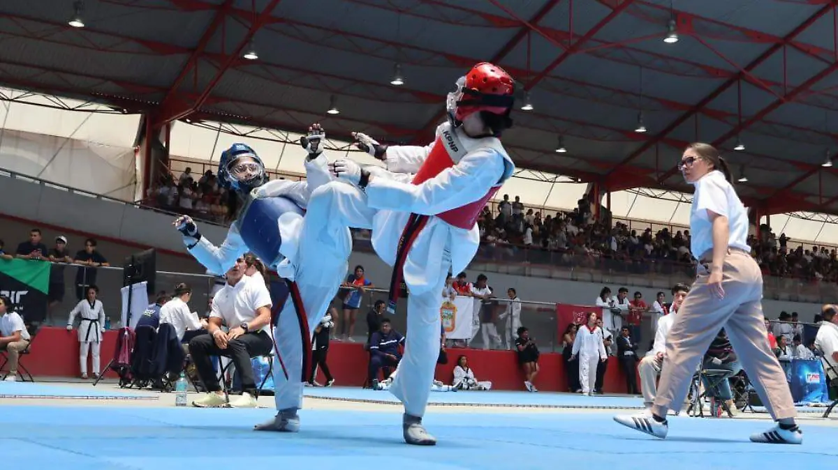 Taekwondo1