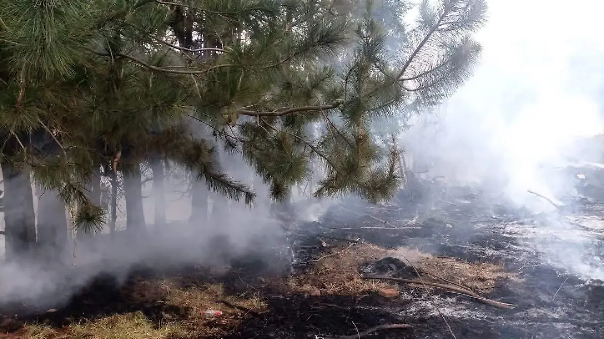 FB_IMG_1747942606634