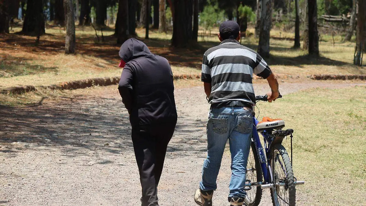 Pareja jubilados reforestan Alameda 2000