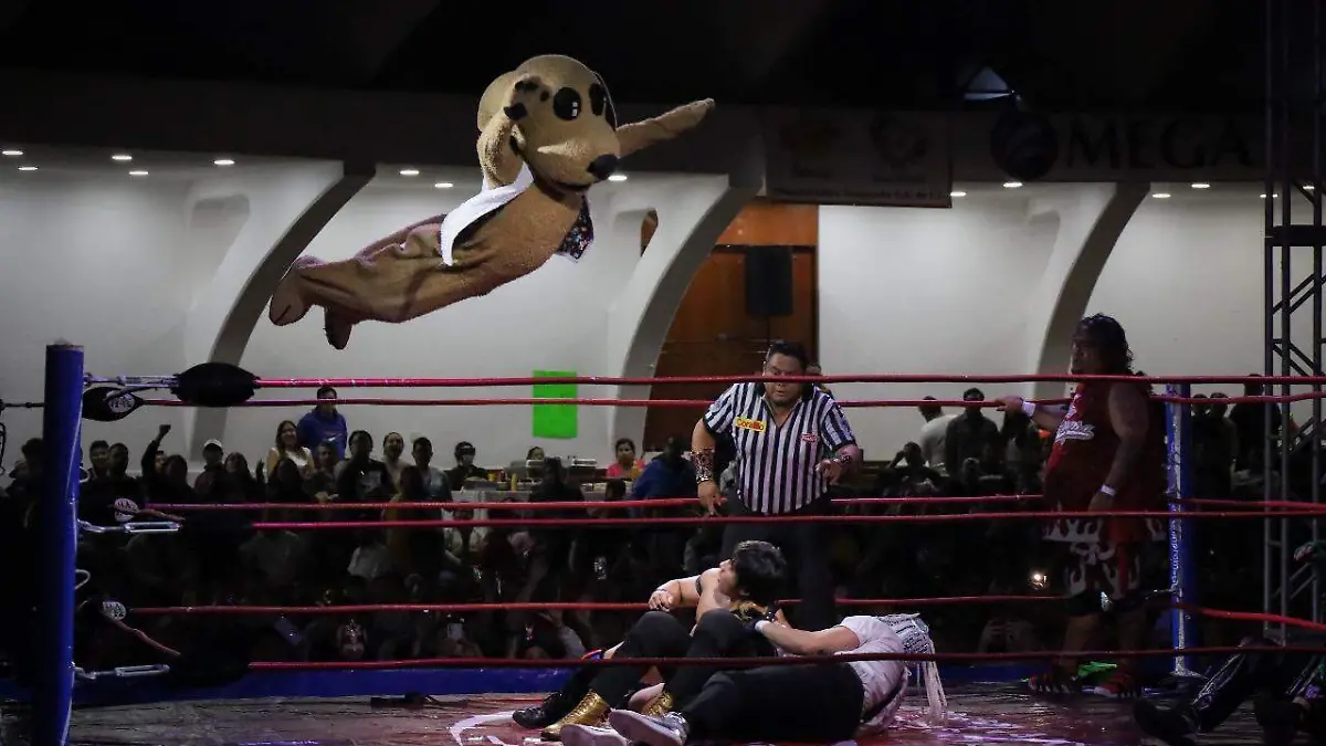 Luchas1