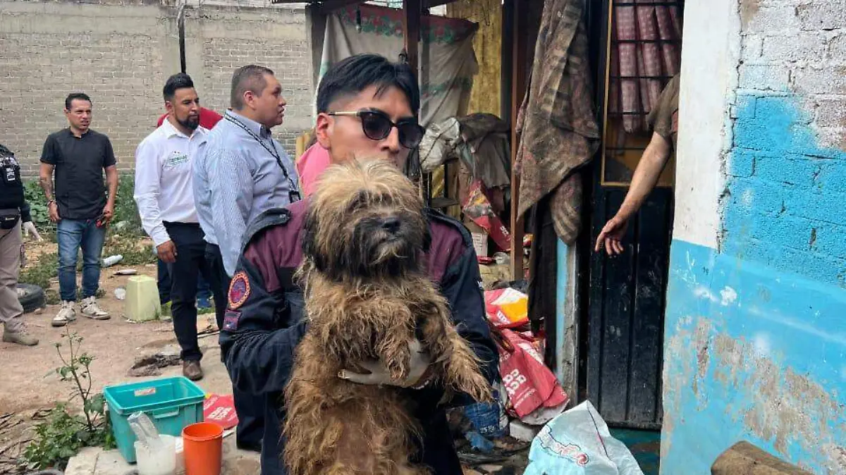 Catean domicilio por presunto maltrato animal
