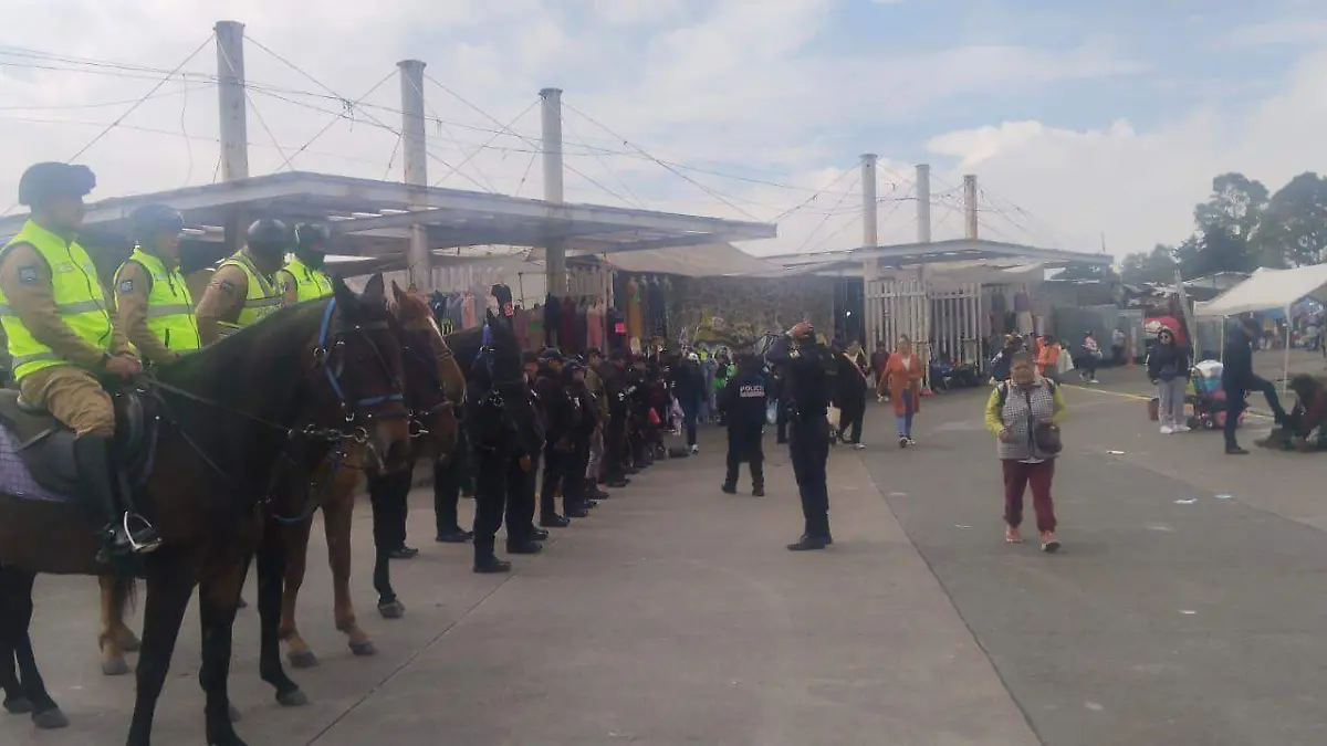 operativo seguridad mercado palmillas