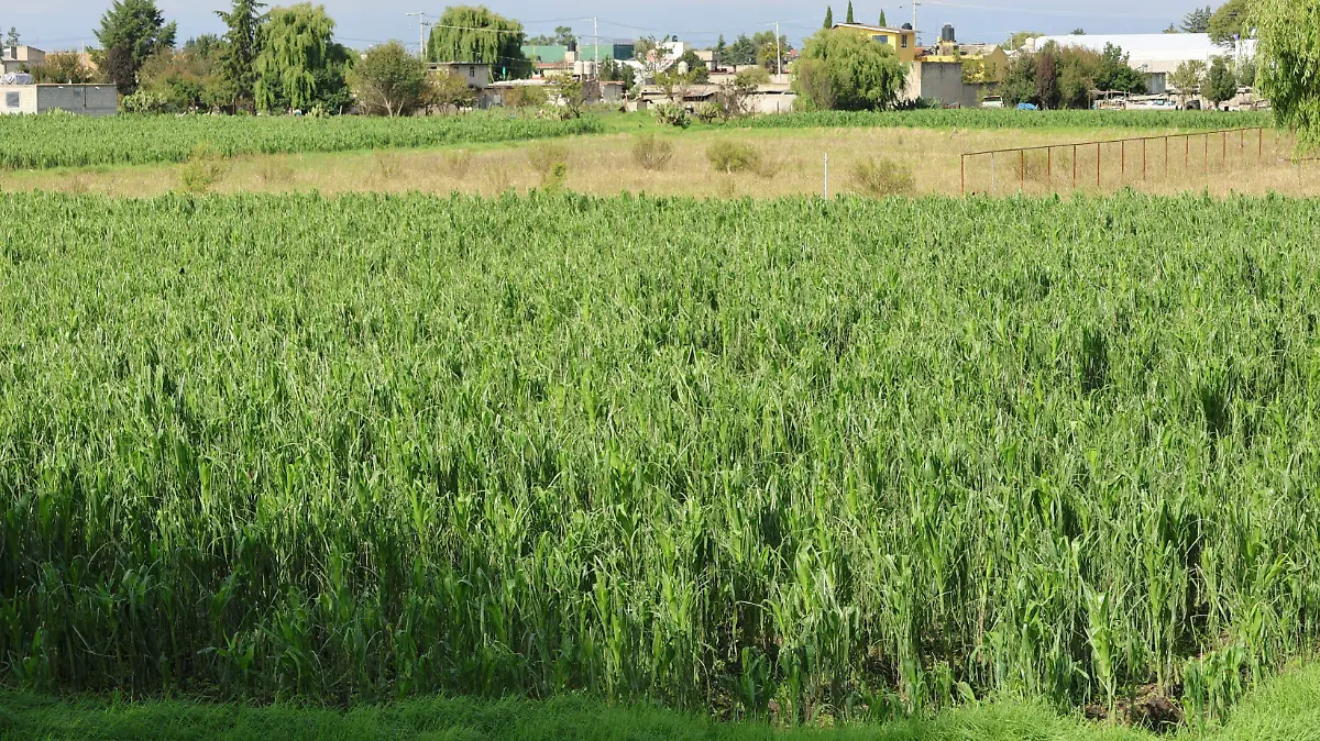 WhatsApp Image 2025-06-16 at 12.35.09