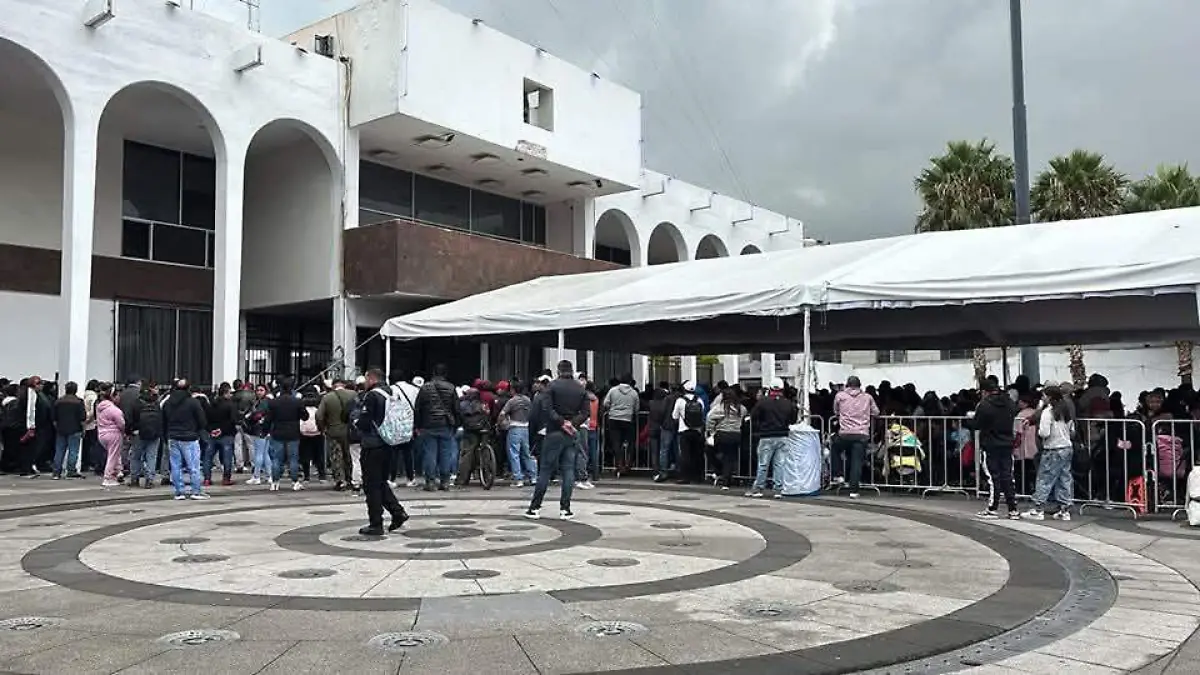 manifestación
