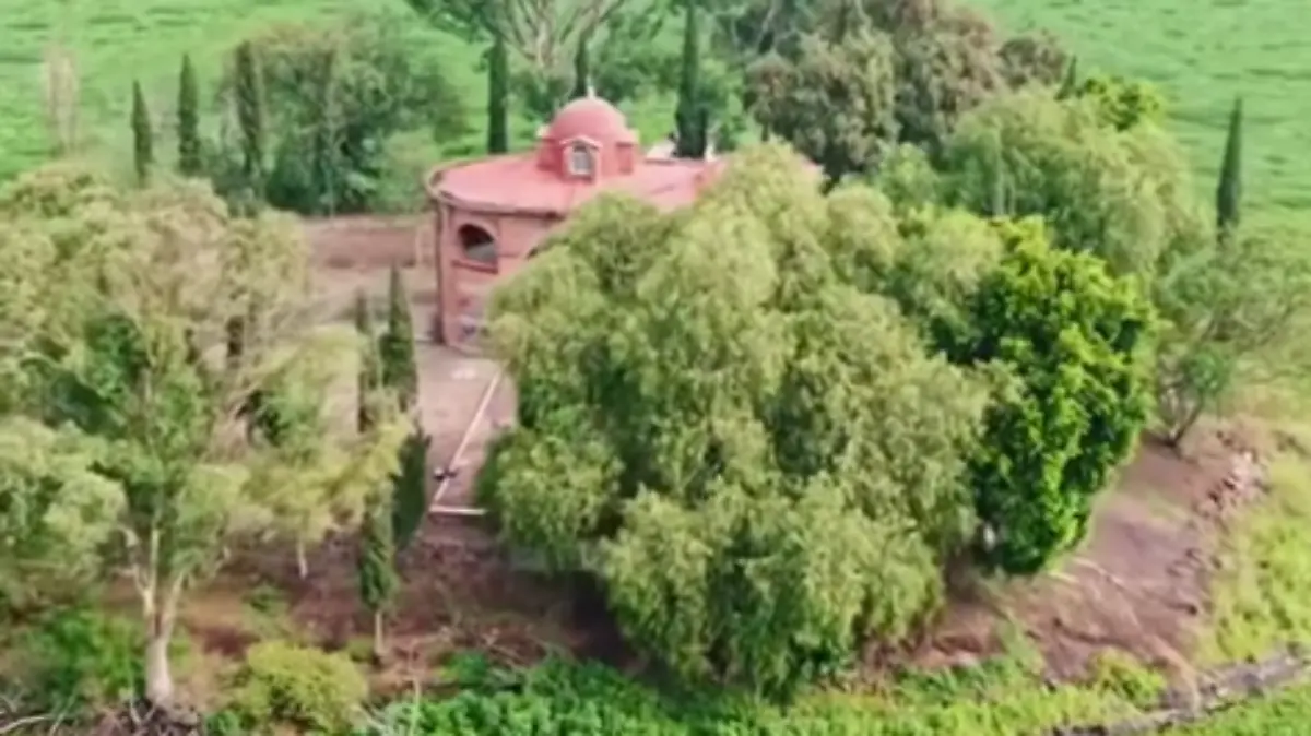 lirio de agua capilla laguna zumpango