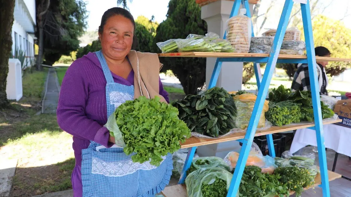 tianguis colibrí