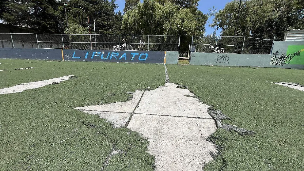 Parques abandono Toluca