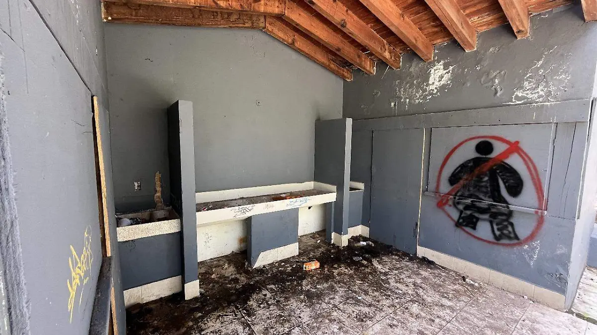 Parques abandono Toluca