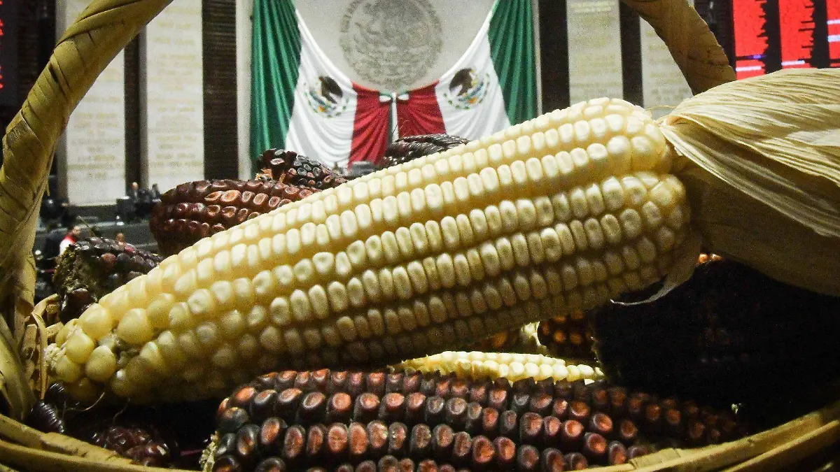 1020708_Sesión Diputados Maíz Transgénico_web