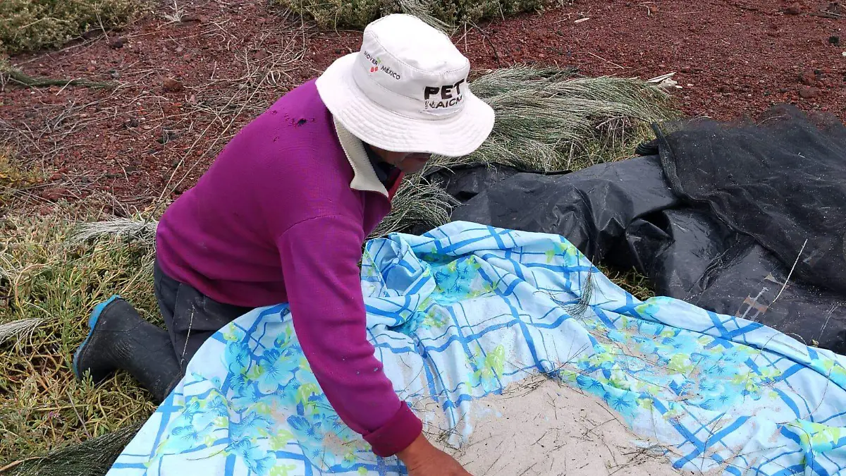 productor de caviar mexicano