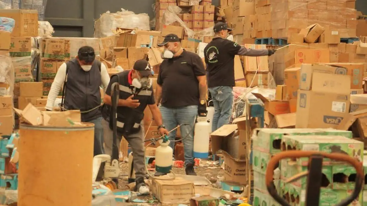 fumigación ratas