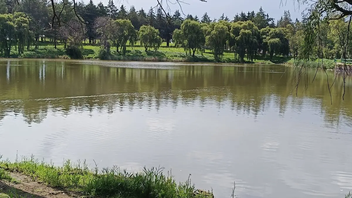 Parque Alameda 2000 2.png