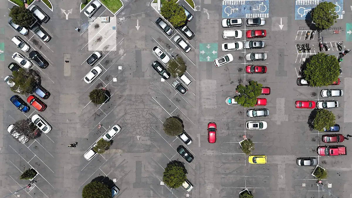 WhatsApp Image 2025-07-19 at 12.50.08