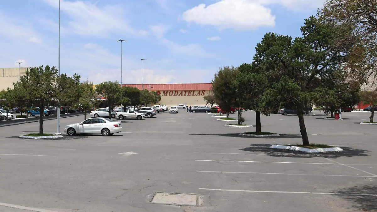 WhatsApp Image 2025-07-19 at 12.50.15