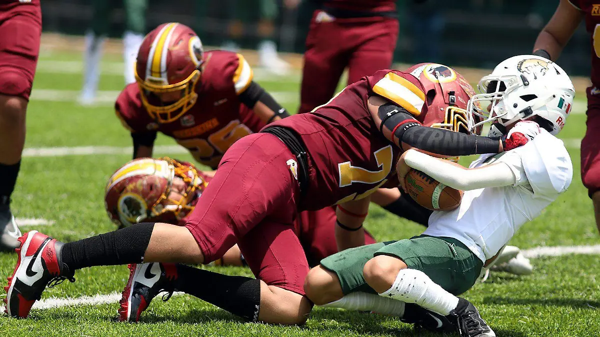 Redskins1