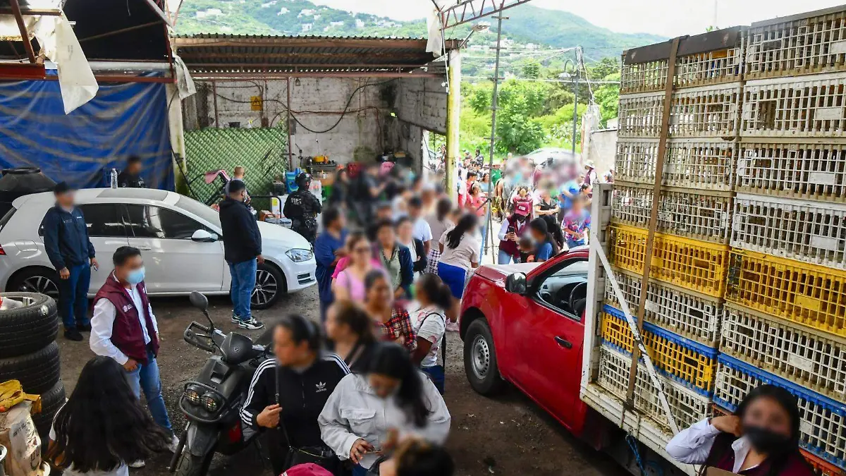 reparto de lo asegurado 3