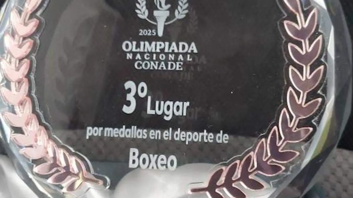 Boxeo2