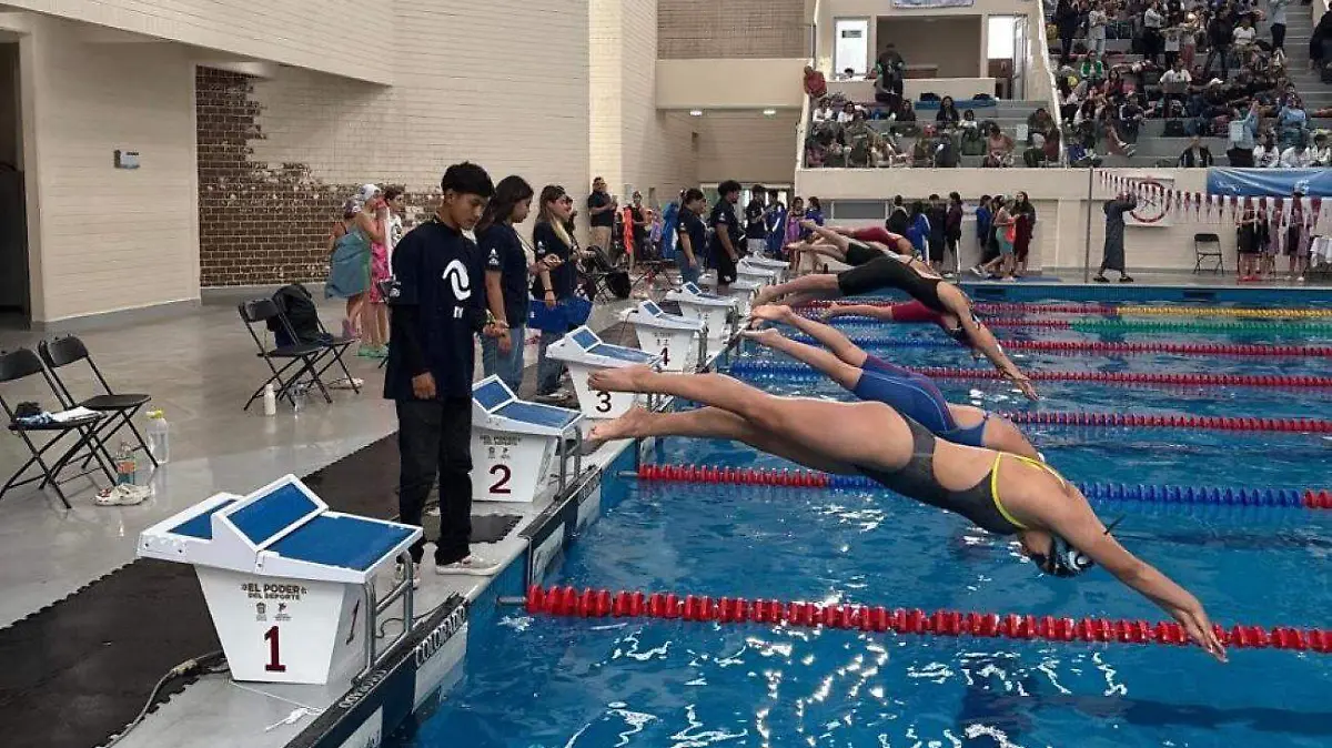 Natacion1