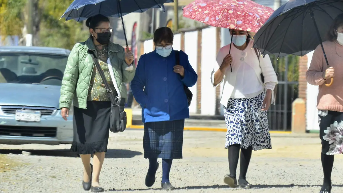 WhatsApp Image 2025-07-28 at 17.00.35