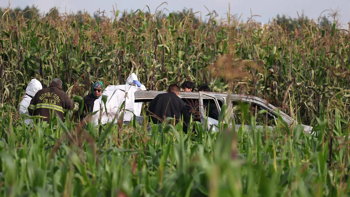 Calcinado Cacalomacán 3