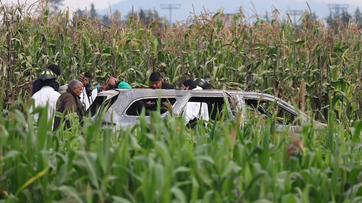 Calcinado Cacalomacán 3
