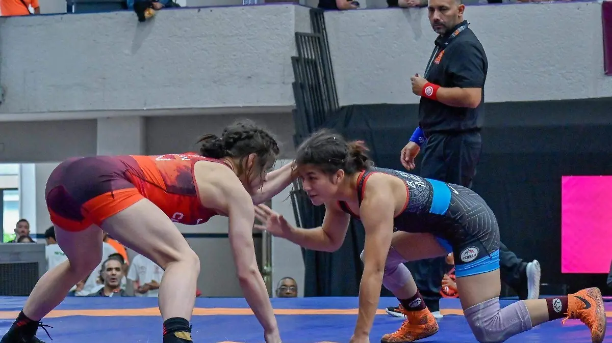 Daniela Rojas Luchas Asociadas