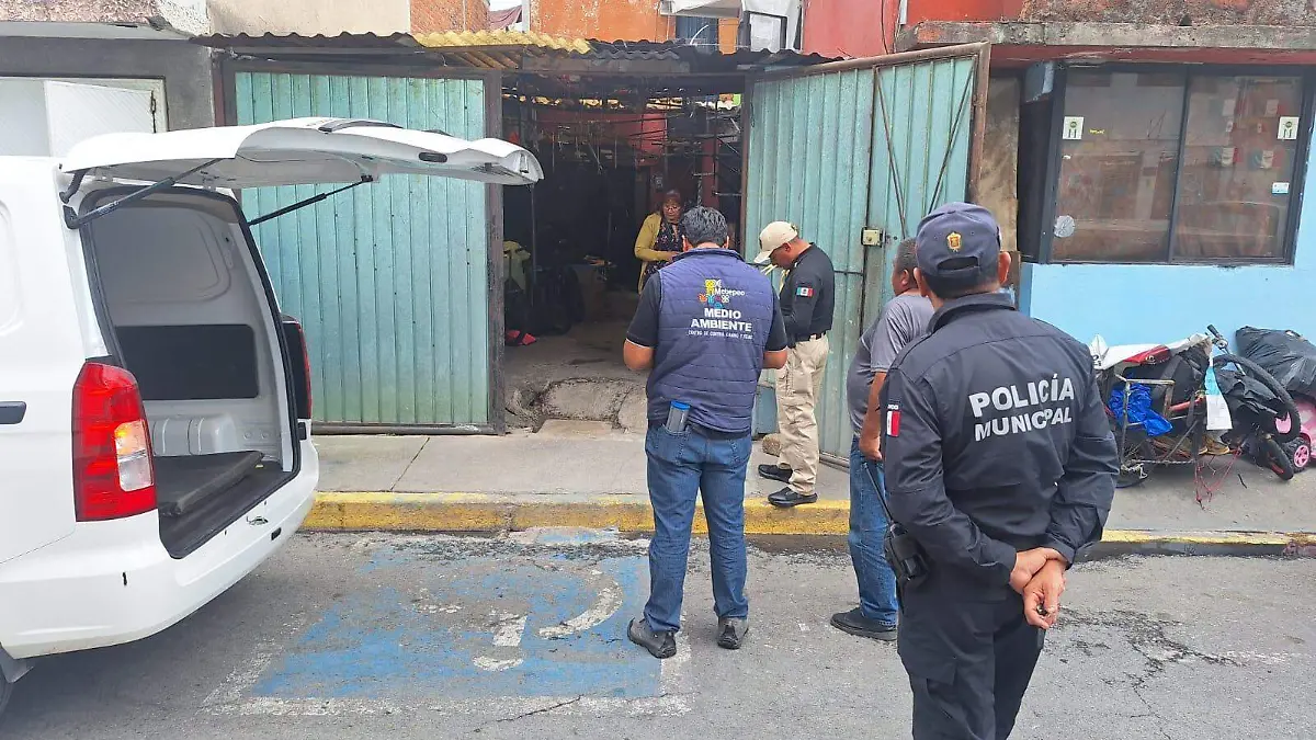 rescate animal Metepec 3