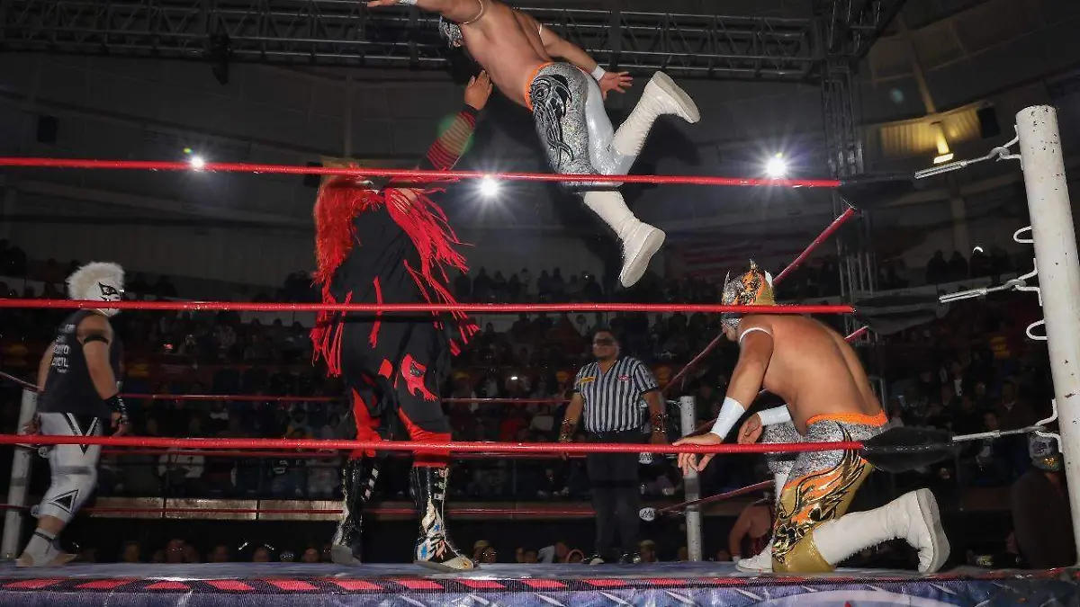 Luchadores2
