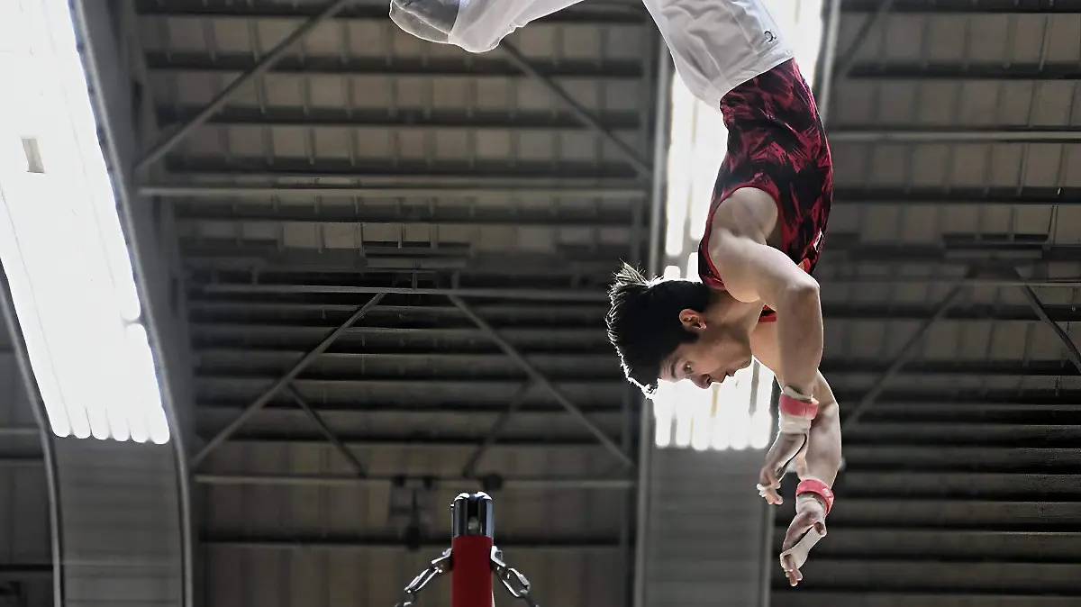 Gimnasia Artística Alonso Pérez