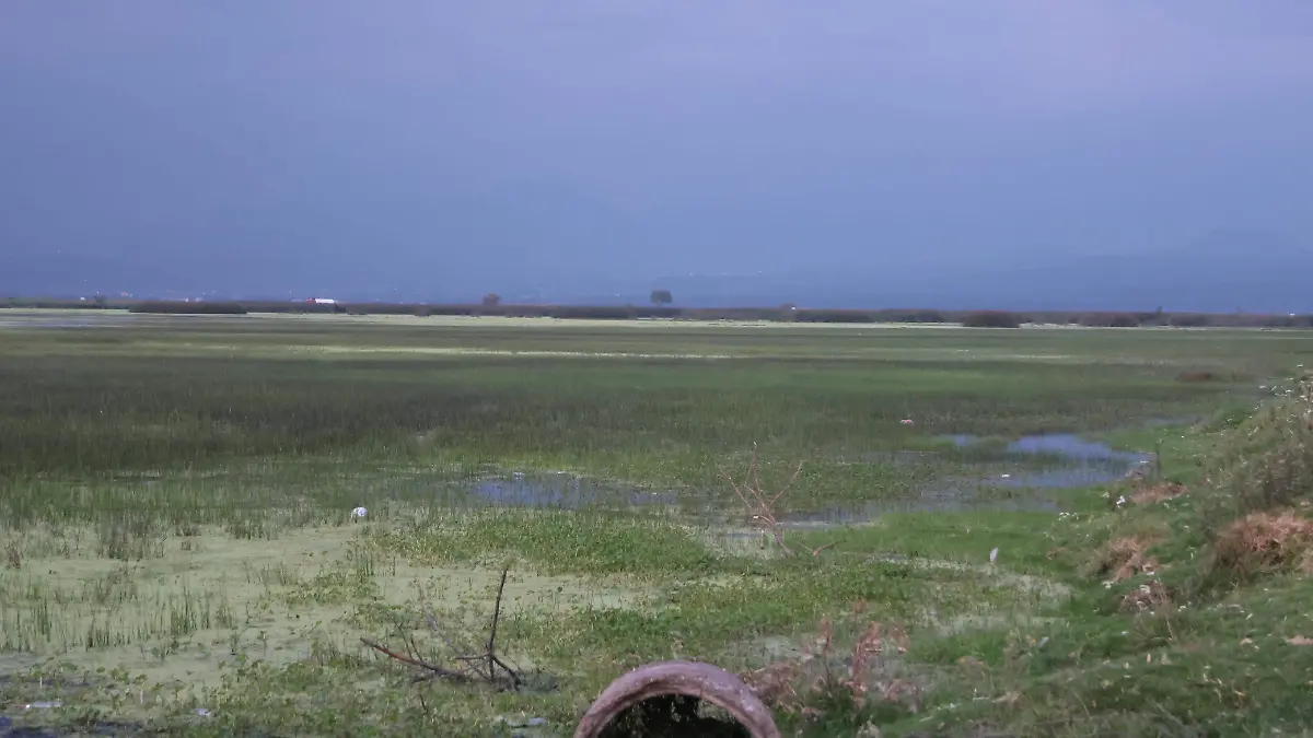 ejidatarios Metepec 2 