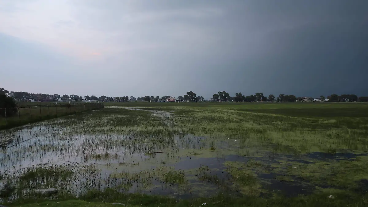 ejidatarios Metepec 4 