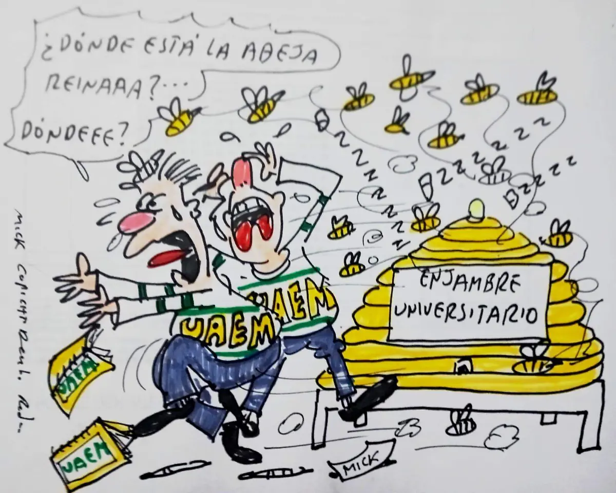 WhatsApp Image 2025-08-21 at 21.03.49