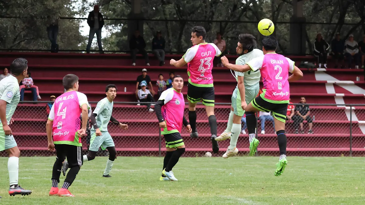 Torneo Metropolitano del Valle Toluca
