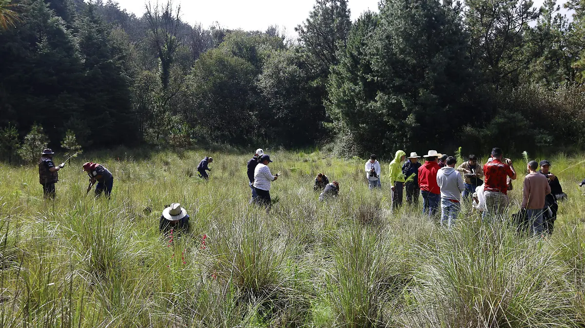 170139c7-3436-49f7-b865-c2ee97470814