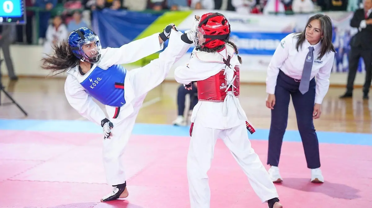 TaekwondoEdomex1