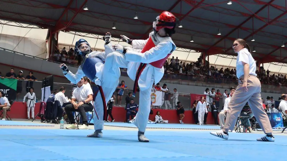 Taekwondo Edomex