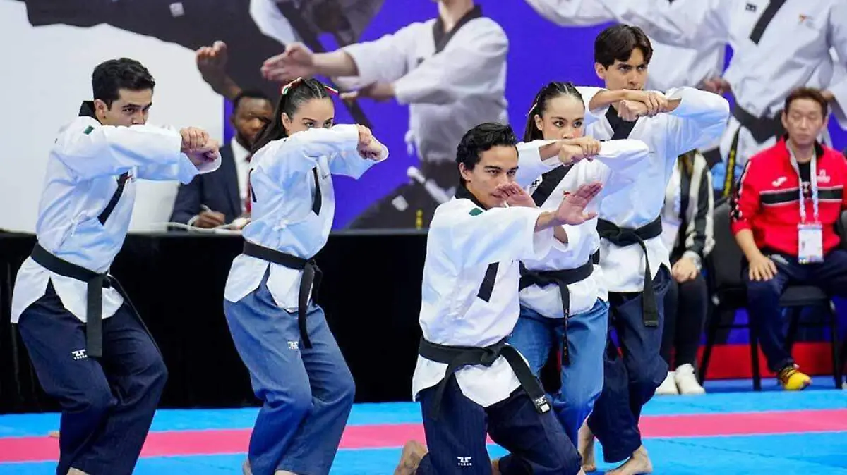 Taekwondo Edomex