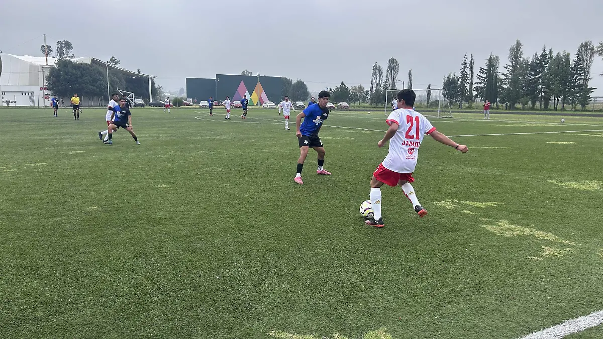 Torneo Metropolitano Valle de Toluca