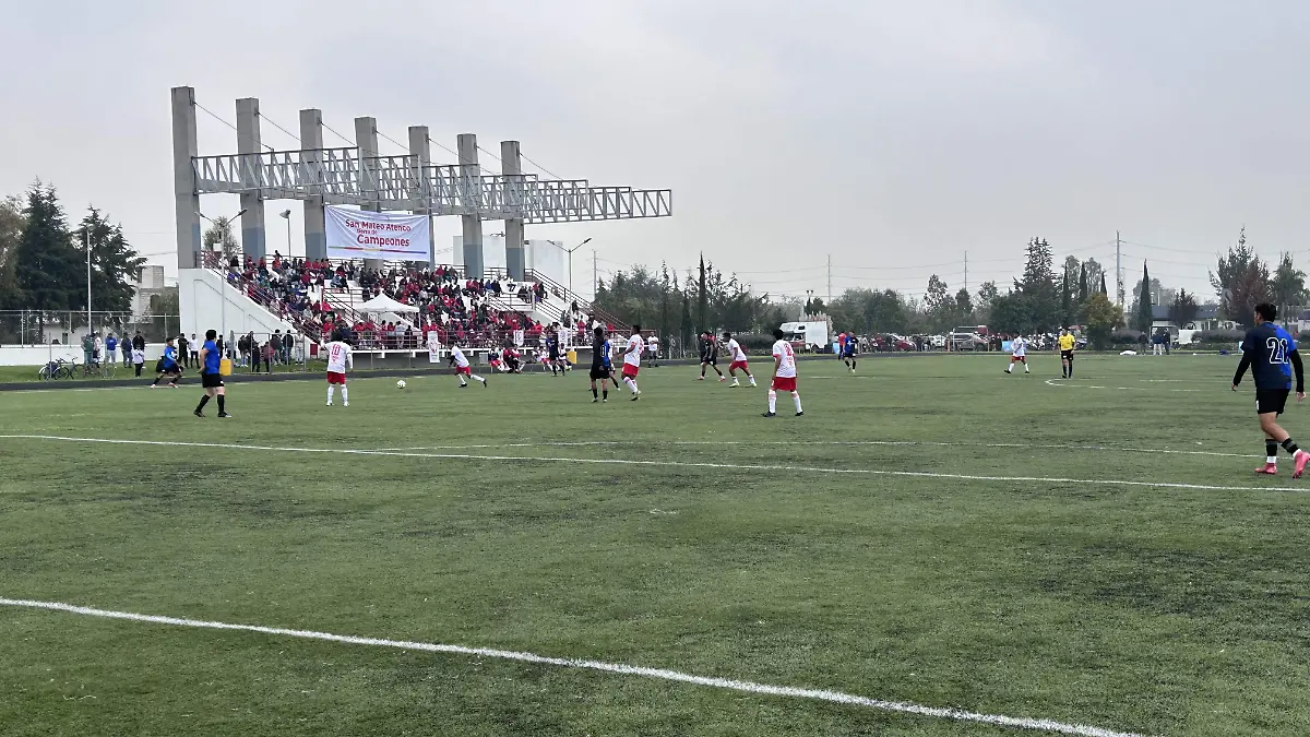 Torneo Metropolitano Valle de Toluca