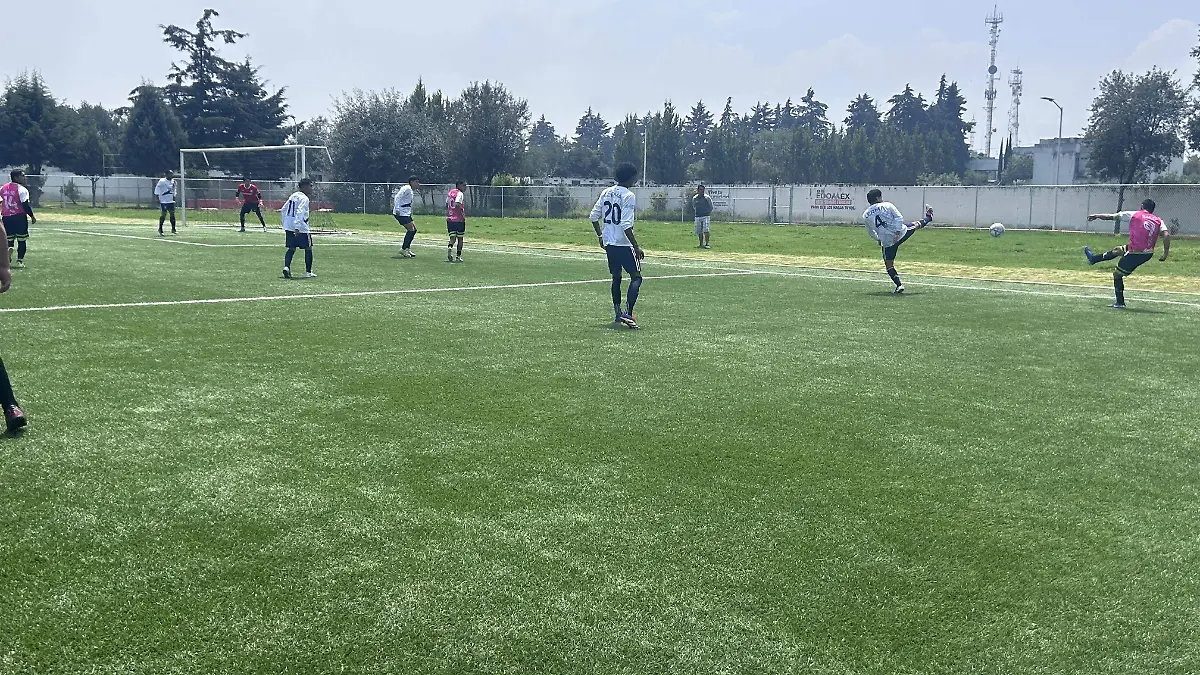 Torneo Metropolitano Valle de Toluca